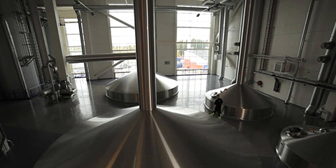 Client - Beer video thumbnail