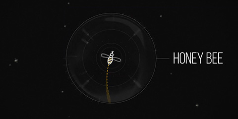 Client - Hikiän Theres more video thumbnail